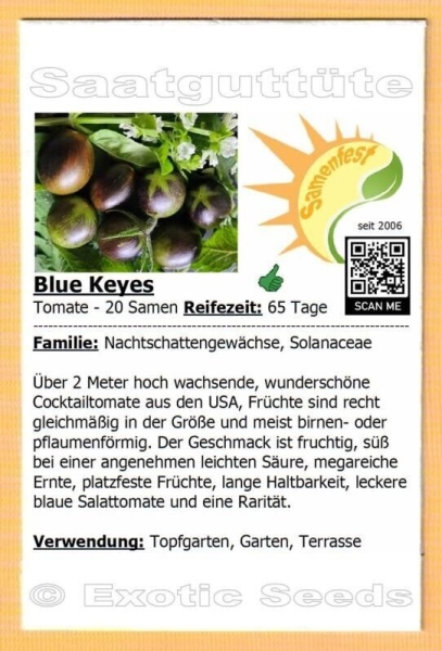 Tomate * Blue Keyes * 20 Samen